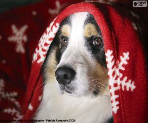 пазл Рождество собака